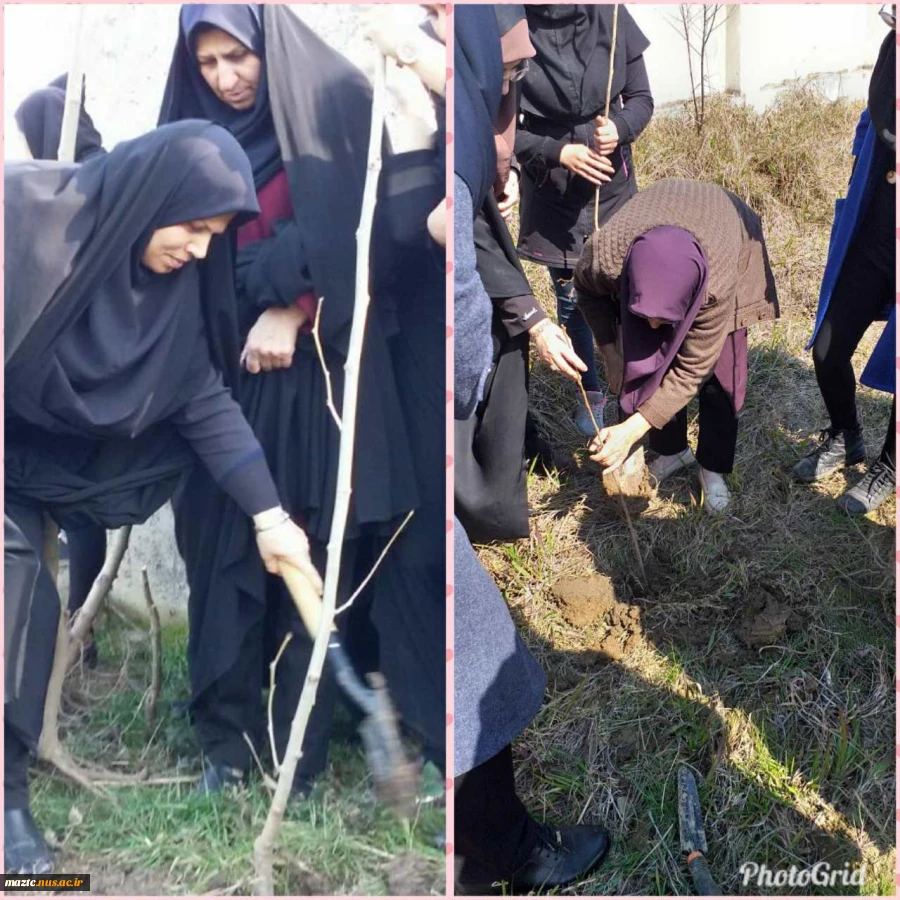 آیین کاشت نهال به مناسبت روز درختکاری و هفته منابع طبیعی در آموزشکده فنی و حرفه ای دختران آمل