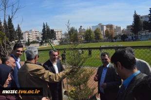 با حضور معاون فرهنگی و دانشجویی دانشگاه فنی و حرفه ای کشور؛
 مراسم کاشت نهال و گرامیداشت هفته منابع طبیعی در دانشکده فنی امام محمد باقر (ع) ساری برگزار شد.
 2