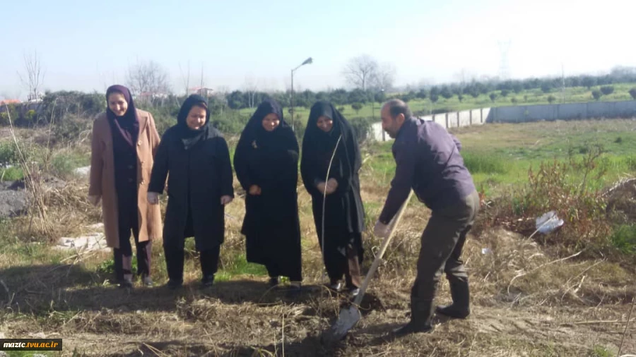 آیین کاشت نهال به مناسبت روز درختکاری و هفته منابع طبیعی در آموزشکده فنی و حرفه ای دختران آمل 2