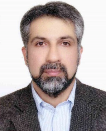 سید مرتضی ابراهیم نژاد