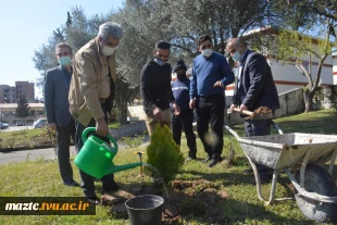 مراسم کاشت نهال به مناسبت نکوداشت روز درخت کاری در دانشگاه فنی و حرفه ای استان مازندران 5