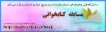 مسابقه کتابخوانی 2