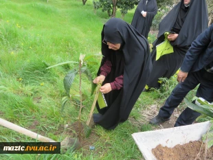 برگزاری آئین نکوداشت روز شهدا و هفته منابع طبیعی و روز درختکاری آموزشکده فنی و حرفه ای قدسیه ساری 8