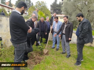 کاشت نهال در محوطه دانشگاه ملی مهارت استان مازندران به مناسبت گرامی‌داشت روز درختکاری  4